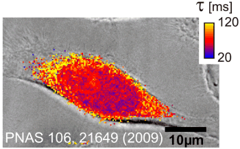 invivo_kinetics