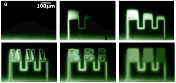light_driven_microflow