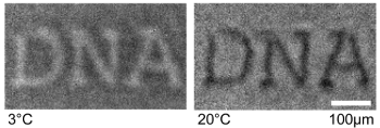 thermophoresis