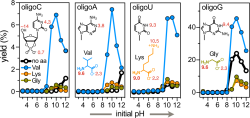 amino_rna