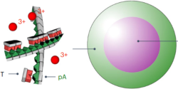 job