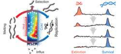 replication_selection