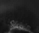 Vesicle_formation